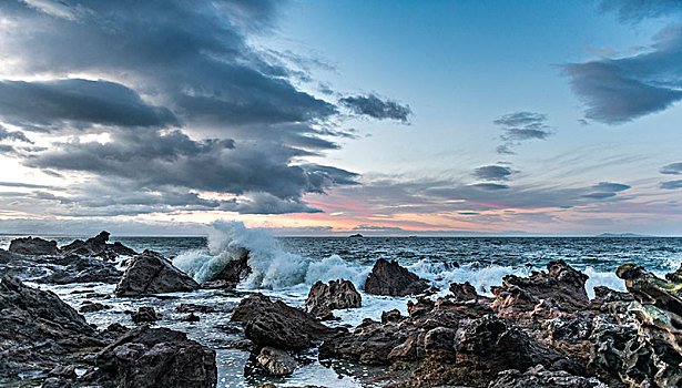 岩石海岸,海浪,黎明,丰盛湾,区域,北岛,新西兰,大洋洲