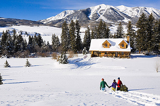 家庭,圣诞树,家,雪撬,科罗拉多,落基山脉,冬天