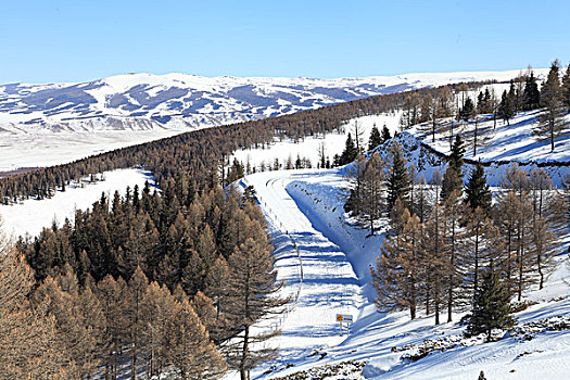 天山雪韵