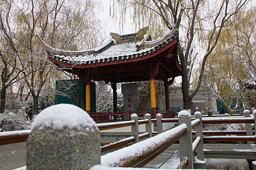 花港飞雪