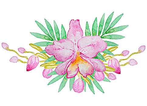 水彩,粉色,兰花,棕榈叶