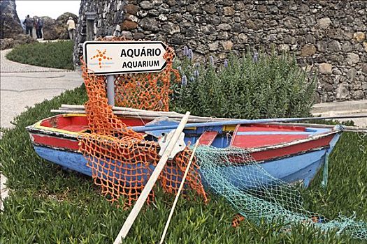 彩色,划艇,水族箱,波尔图,马德拉岛,葡萄牙