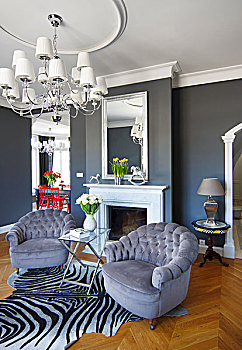 扶手椅,灰色,天鹅绒,家居装潢,地毯,优雅,吊灯,正面,镜子,高处,壁炉