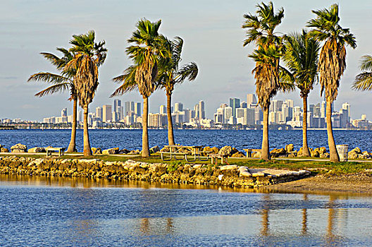 天际线,棕榈树,正面,吊床,公园,佛罗里达,美国