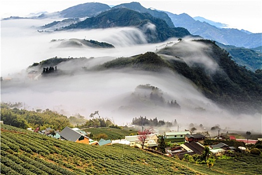 日落,山,风景