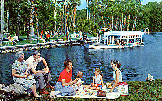 家庭,野餐,旁侧,水,银,春天,佛罗里达,美国,艺术家