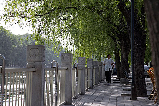 北京什刹海风光