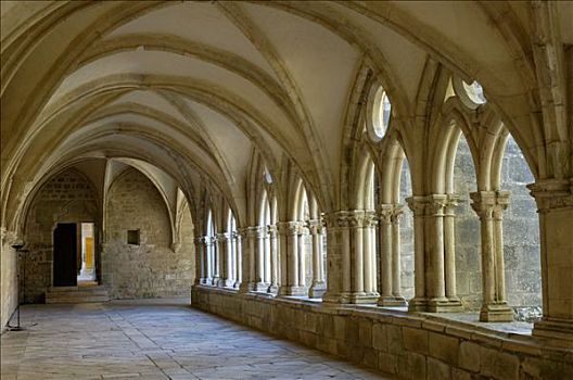 浆果,教堂,14世纪,回廊