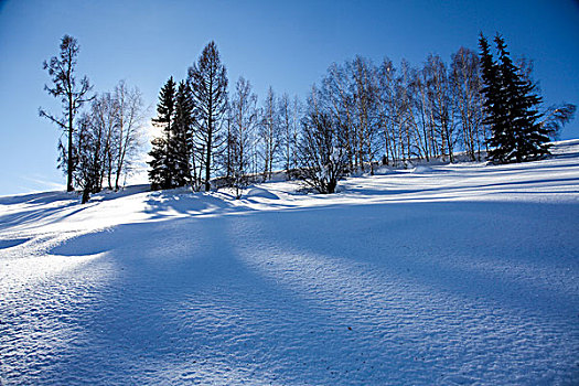 新疆喀纳斯禾木美丽峰雪景