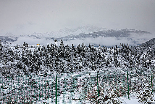 四川,黄龙,雪山,寒冷,村庄,户外