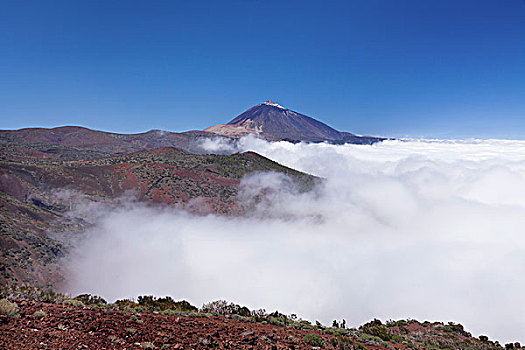 泰德峰,高处,毯子,云,泰德国家公园,特内里费岛,加纳利群岛,西班牙,欧洲
