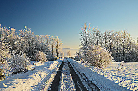道路,冬季风景,靠近,黑森林,巴登符腾堡,德国
