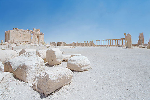 庙宇,遗址,帕尔迈拉,地区,叙利亚,亚洲