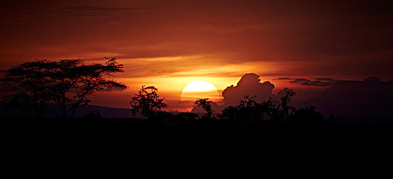 日落,塞伦盖蒂,坦桑尼亚,非洲