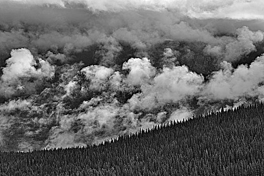 云,上方,山峦,十峰谷,班芙国家公园,艾伯塔省,加拿大