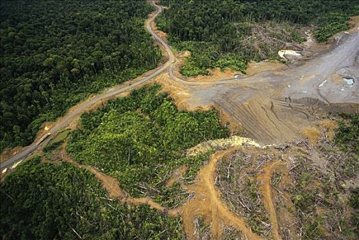 伐木,腐蚀,低地,热带雨林,宽,洪水,朴素,河,巴布亚新几内亚