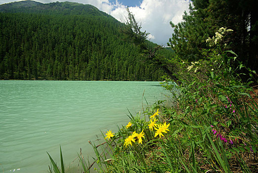 漂亮,山景,靠近,湖,高山湖,山地,水,山谷