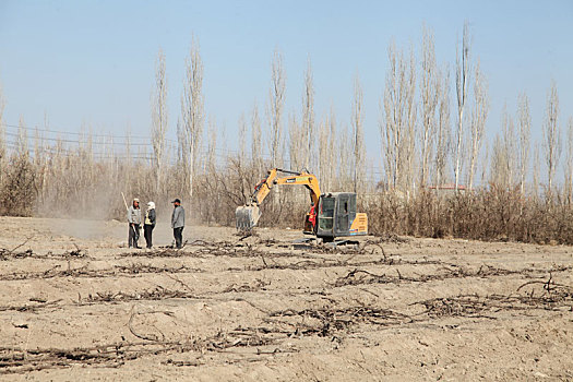 新疆哈密,备耕季,整地忙
