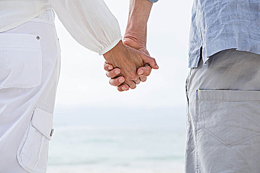 幸福伴侣,握手,看,海洋