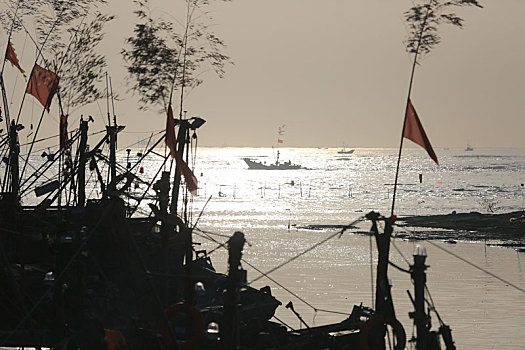 山东省日照市,入海口渔船插满摇钱树,渔民趁着涨潮出海捕鱼