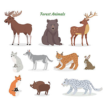 森林动物,野生动物,矢量,驼鹿,公猪,猞猁,美国山猫,熊,鹿,狼,野兔,兔子,狐狸,野猪,美洲虎,隔绝,白色背景,背景,卡通,生物,插画