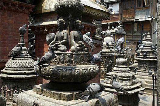 许多,神祠,雕塑,鸽子,庙宇,加德满都,尼泊尔