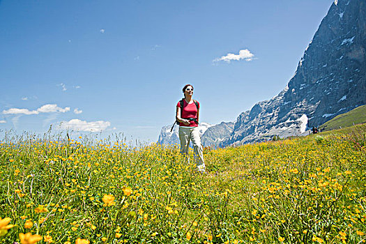 女人,远足,艾格尔峰,顶峰,北方,脸,瑞士