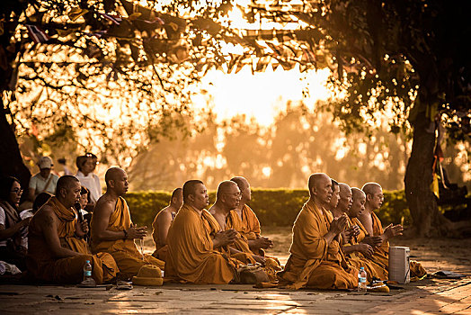 佛教,朝圣,祈祷,树,庙宇,诞生地,佛,蓝毗尼,尼泊尔,亚洲