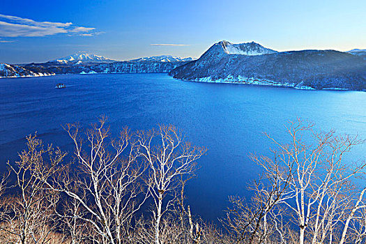 湖,白桦,树,早晨,北海道