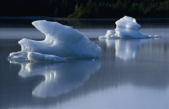 月照,冰山,湖,东南阿拉斯加,夏天
