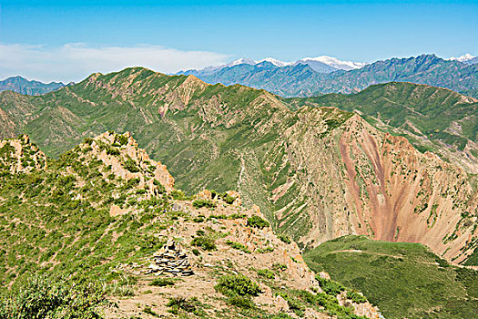 新疆夏季草原雪山风光