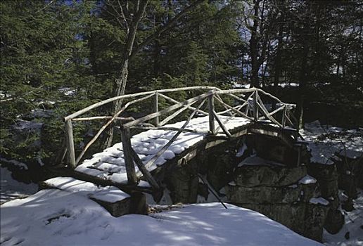 木桥,树林,州立公园,保存,山峦,纽约,美国