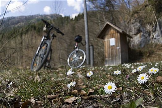 自行车,国家公园,上奥地利州,奥地利,欧洲