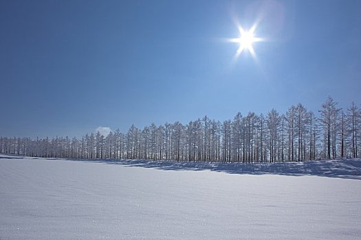 靠近,山