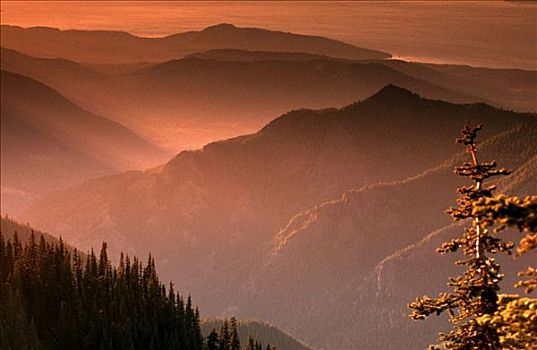 阿巴拉契亚山脉,日落,圆顶,大烟山国家公园,北卡罗来纳,美国