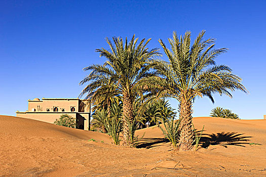 建筑,边缘,却比沙丘,摩洛哥