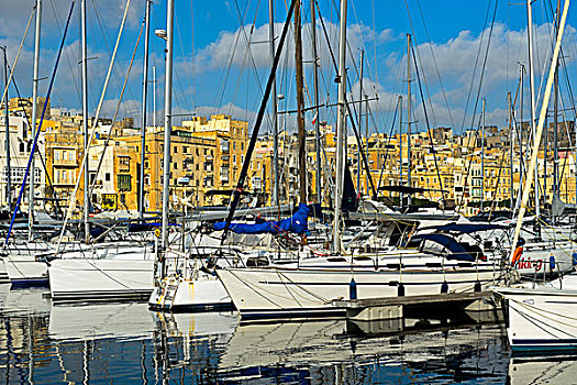 帆船,格兰德港,码头,马耳他,欧洲