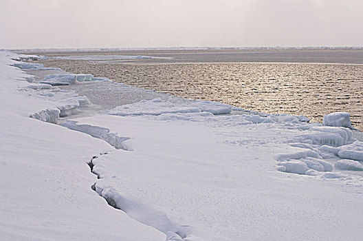 美国,阿拉斯加,希望,楚科奇海,海冰,缝隙,浮冰