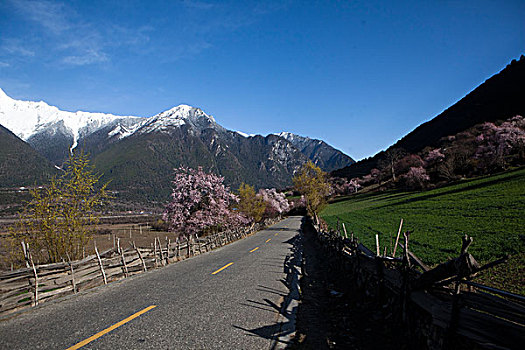 西藏风景