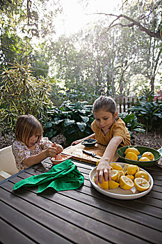 两个,孩子,姐妹,准备,柠檬,柠檬水,花园桌