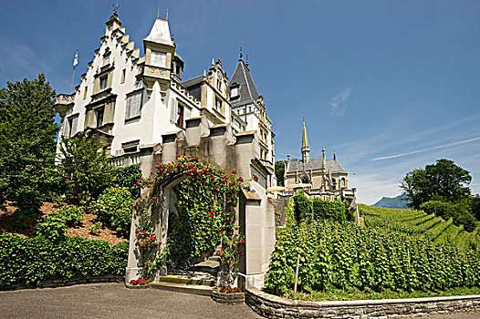 城堡,琉森湖,瑞士,欧洲