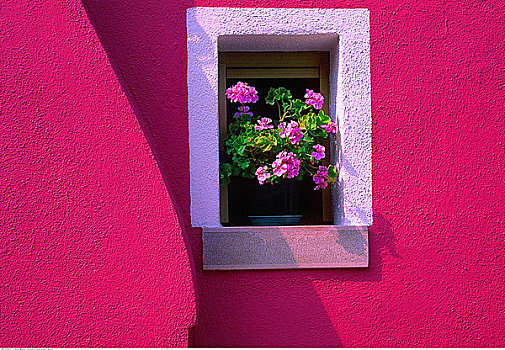 花,窗户,威尼斯泻湖,意大利