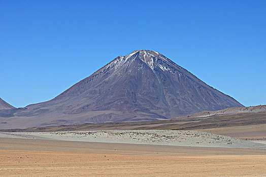 火山,动物,波托西地区,玻利维亚,南美