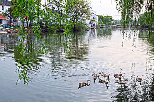 锦溪,古镇,建筑,江南,水乡,小桥,桥梁,河流,河道,渔舟,渔船,小巷,风情,风光,旅游,景点,古色古香,民居47