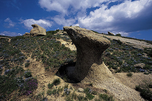 内蒙古赤峰赛罕乌拉自然保护区风蚀蘑菇