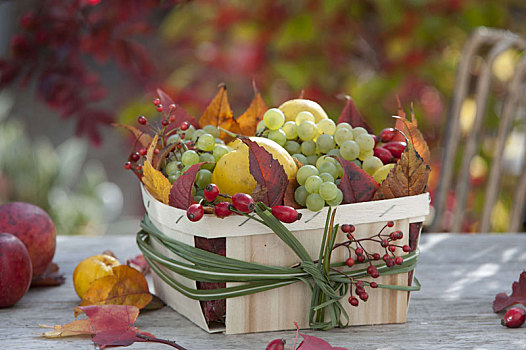 秋天,篮子,葡萄,榅桲树