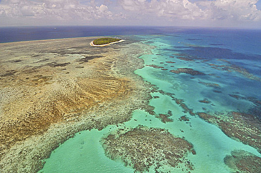 航拍,大堡礁,绿色,岛屿,直升飞机,昆士兰,澳大利亚