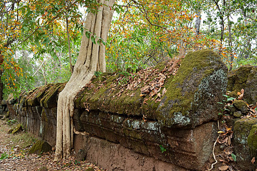 柬埔寨婴儿车寺建筑