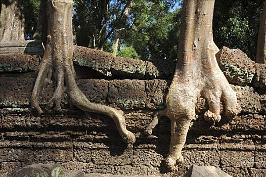 塔普伦寺,庙宇,吴哥窟,柬埔寨