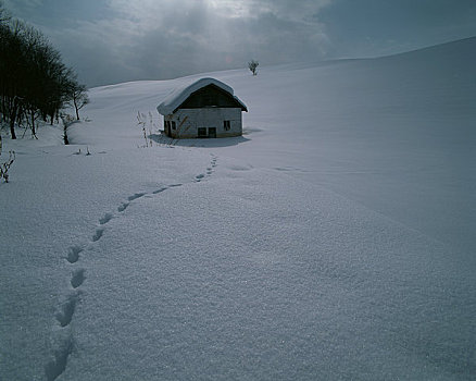 雪原,房子,脚印